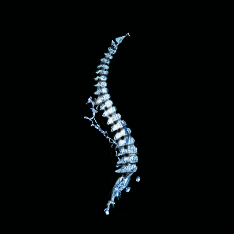 Persian Yoga clinic chiropractic spine logo